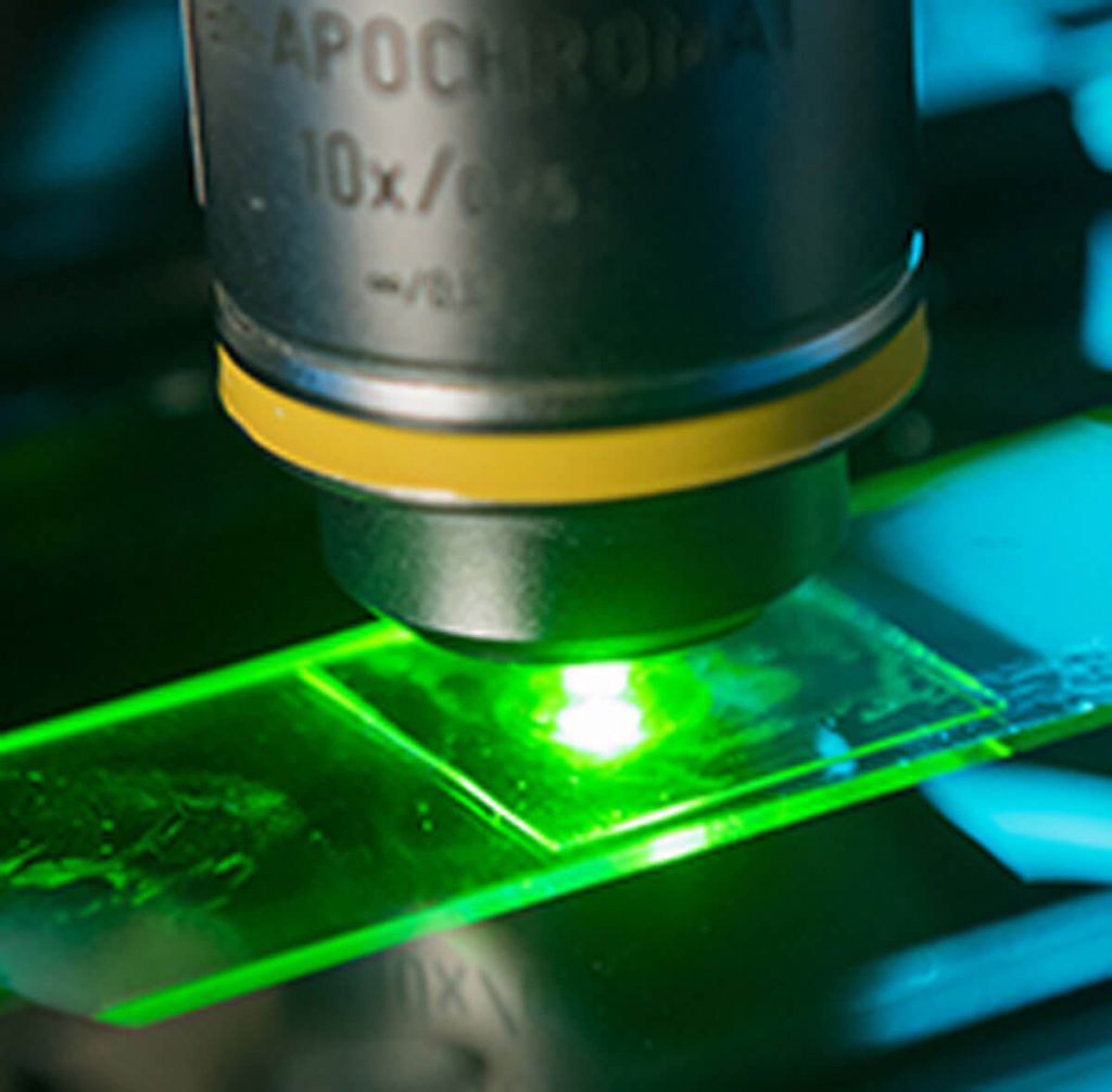 A closeup of a sample being examined under a microscope