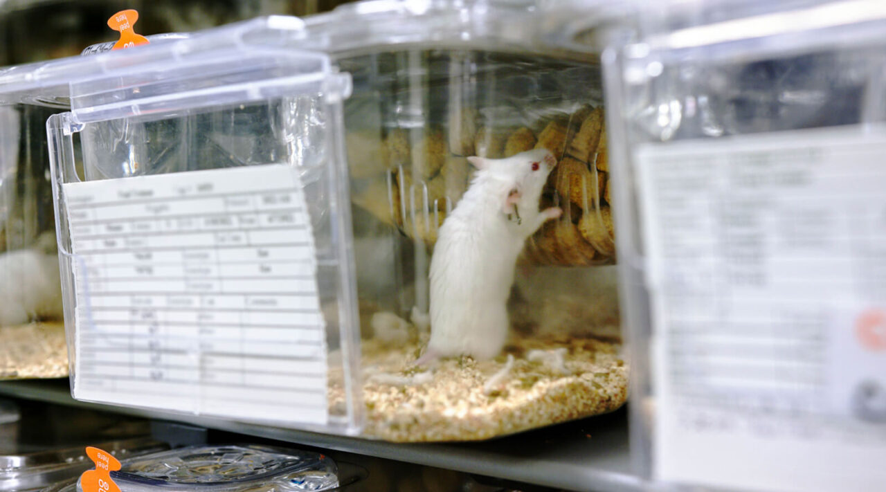 Stowers Institute for Medical Research | Technology Centers