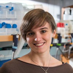 Portrait of postdoc Alice Accorsi