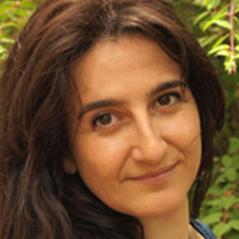 Headshot photo of Irene Chiolo