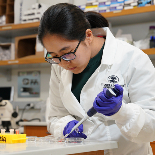 A researcher using a pipette in the lab