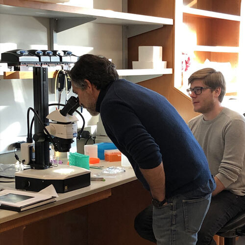 Scientist looking into a microscope