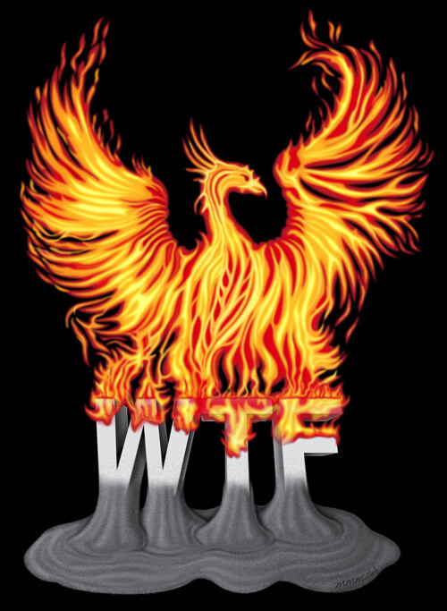 Illustration of bird made from flames over the letters WTF