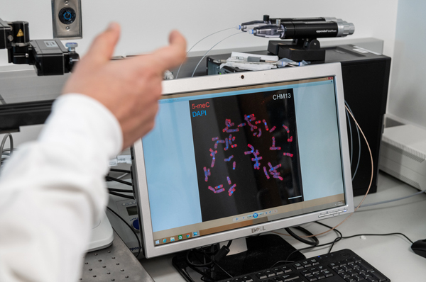 Microscopic image on a screen showing fluorescently labeled human chromosomes showing attachment points called centromeres and regions of ribosomal DNA.