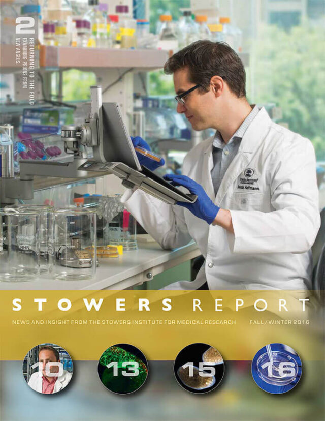 2016 Fall Stowers Report