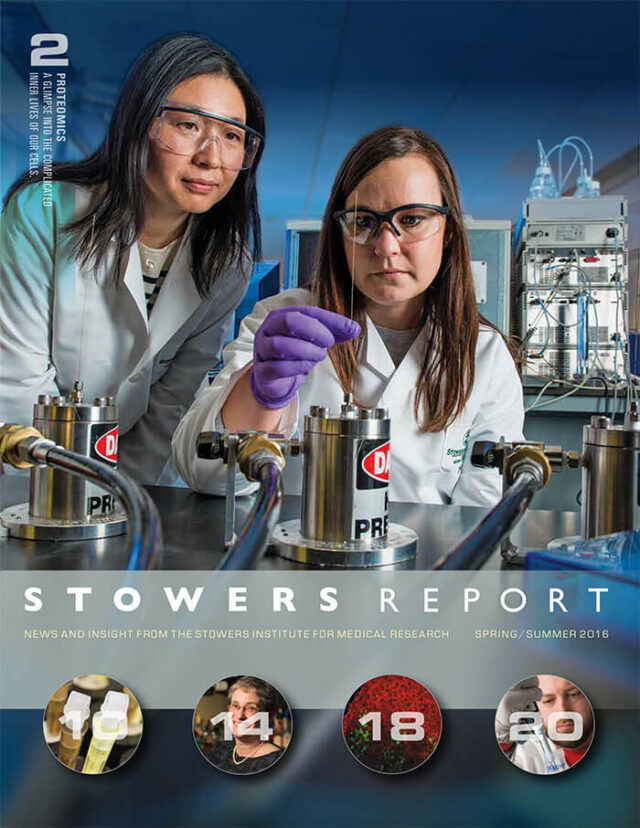 2016 Spring Stowers Report
