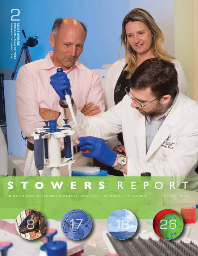 2018 Summer Stowers Report