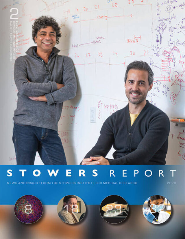 2020 Stowers Report