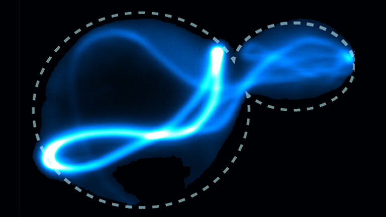 Scientific image of corrupted protein known as a prion.