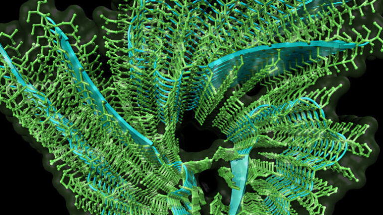 Scientific image from the Si Lab depicting amyloid and how it can help store memory or memories in the brain.