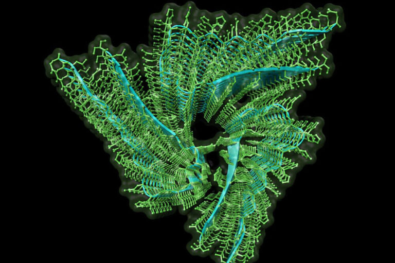 Atomic structure of biochemically active Orb2 amyloid reveals the stacked three-fold helical symmetry of the filament core.