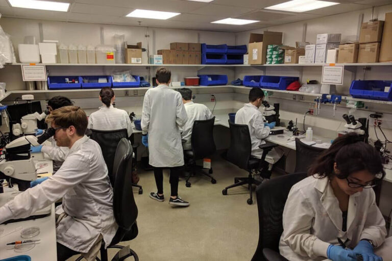 Lab with several scientist working at different stations