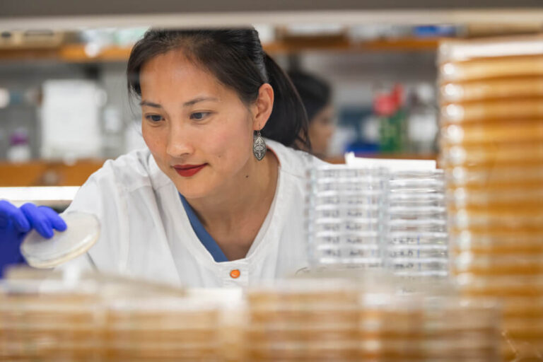 Female scientist examining petri dish