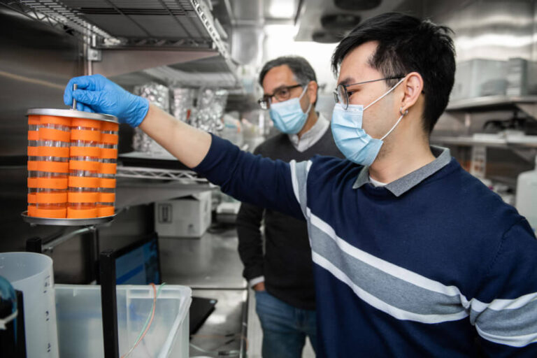 Two scientists looking at sample containers