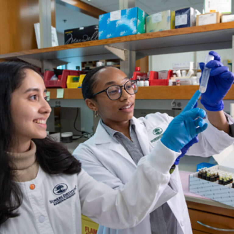 Two scientists examining a test tube