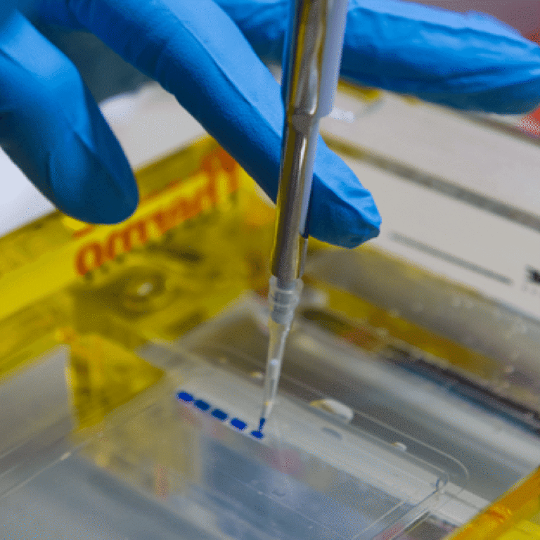 Hands in blue gloves filling test equipment with blue liquid